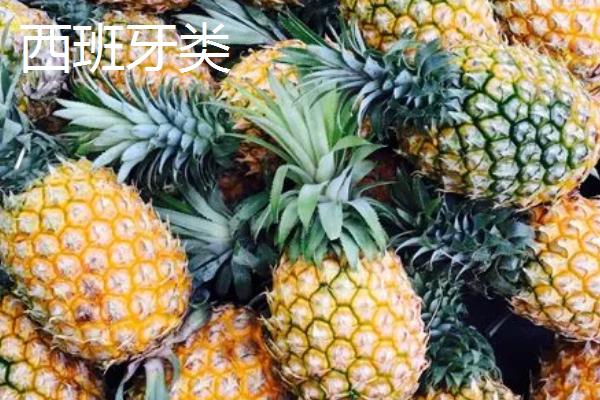 凤梨和菠萝有什么区别，二者只是叫法不同
