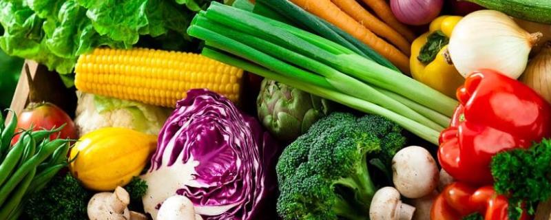 阳台种植蔬菜为什么选择叶菜类，生长周期短且可以利用各类容器