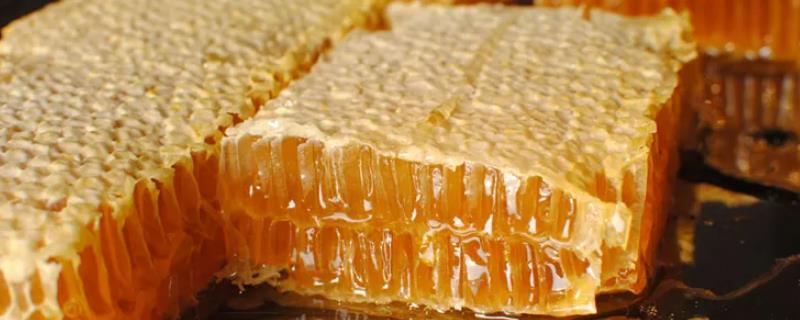 蜂巢蜜为何不能使用铁勺，原因是金属接触蜂蜜后容易产生化学反应