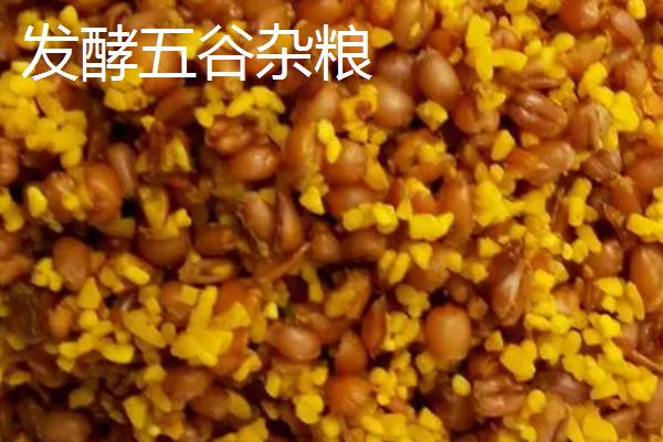 鲫鱼打窝用什么饵料，使用酒米更容易吸引鲫鱼