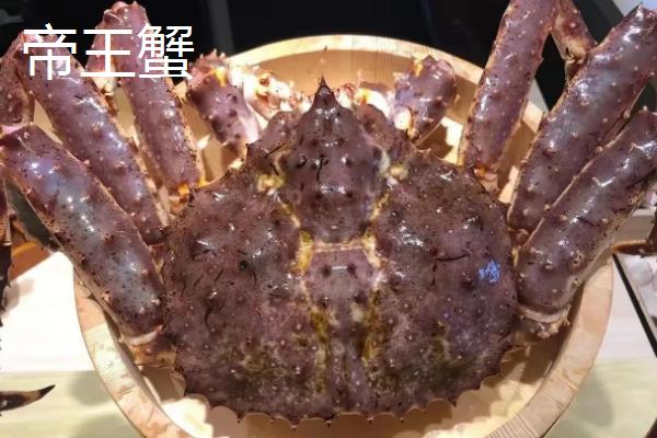 刚死亡的螃蟹能不能食用，决定性因素和温度有关