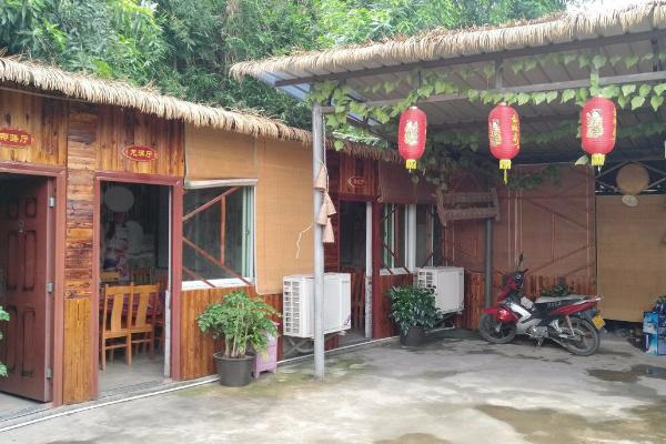 农民致富项目，天然蔬菜受到消费者的欢迎