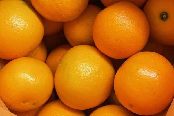 我国优质高产的橙子品种有哪些，主要包括脐橙、血橙和冰糖橙等种类