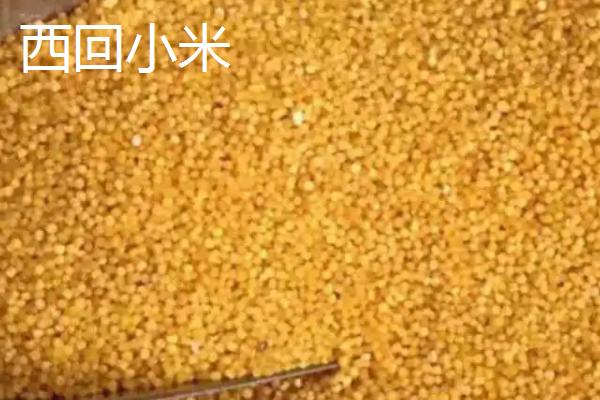 山西省平定县的特产，被誉为“文献名邦”