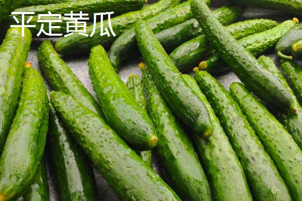 山西省平定县的特产，被誉为“文献名邦”