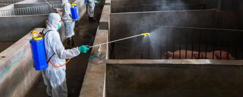 秋冬季节怎么做好猪场的防疫工作，饲养工具每天要坚持消毒