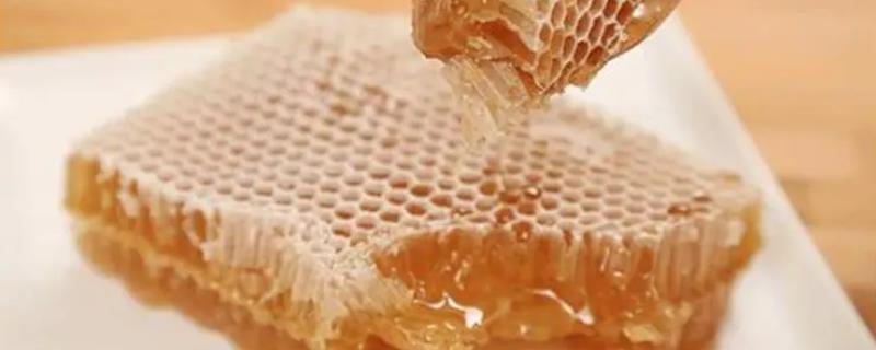 蜂巢蜜中哪种物质无法嚼烂，咀嚼后剩下的物质多为蜂蜡