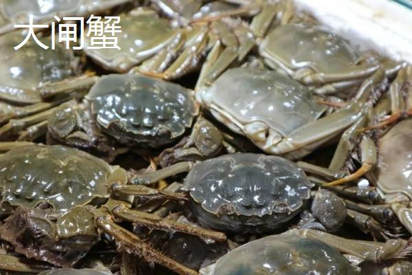 我国梭子蟹的主产地，主产于浙江、山东、福建等省份的沿海区域