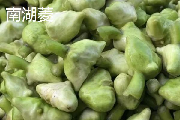 浙江省海宁市的特产，海宁缸肉是中华非物质文化遗产