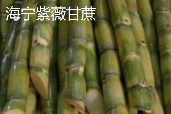 浙江省海宁市的特产，海宁缸肉是中华非物质文化遗产