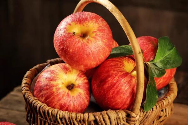 哪些水果具有比较好的种植前景，苹果可作为首选目标之一