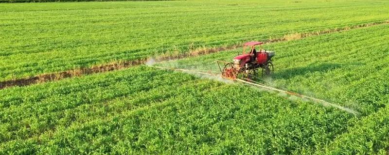 夏大豆田出现严重的草害如何处理，可增加药物兑水量喷遍杂草