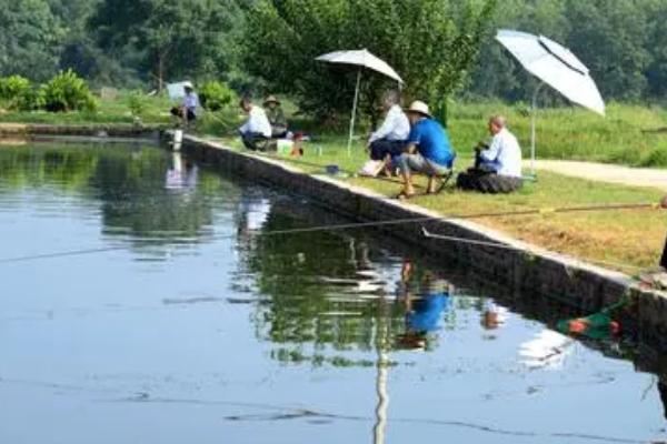 大幅度顶漂不上鱼是怎么回事，有可能是小鱼闹窝引起的