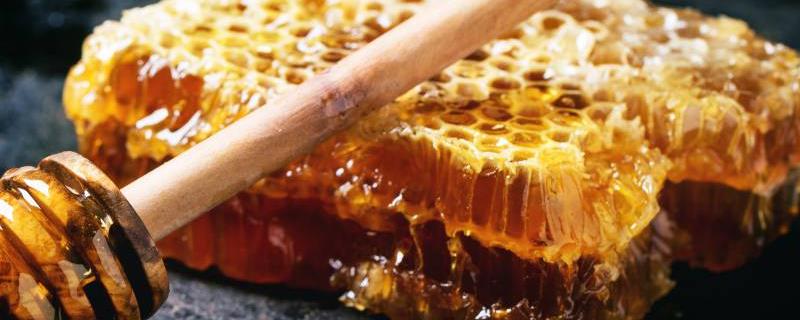 蜂巢蜜什么季节有，一年四季均有售