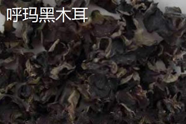 黑龙江呼玛县的特产，包括呼玛大豆和细鳞鲑等种类