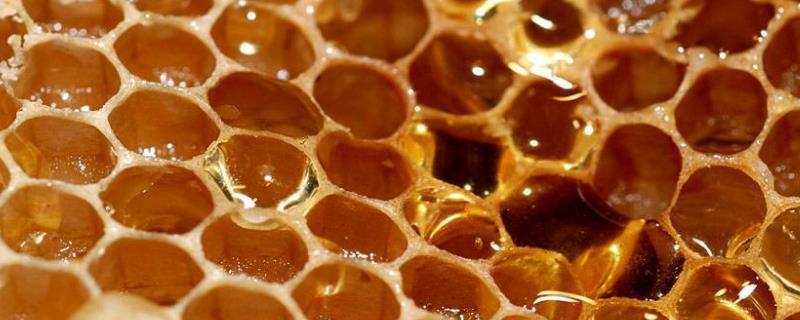 蜂蜜是酸性还是碱性的，溶液酸碱度上偏酸但属于碱性食物
