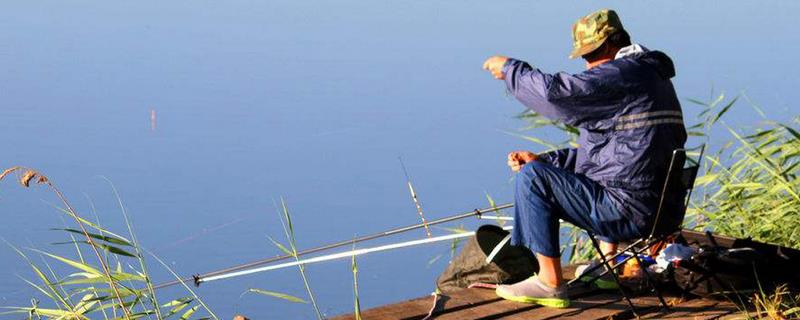 钓草鱼和鲤鱼适合用什么饵料，玉米、蚯蚓、红薯均为常用鱼饵