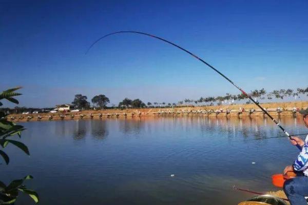 手竿传统钓法以及要注意什么，使用子线双钩线组可增加中鱼率