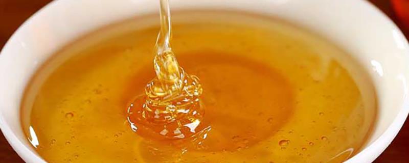 什么是五味子蜜，是蜜蜂采集五味子花蜜酿成的蜂蜜