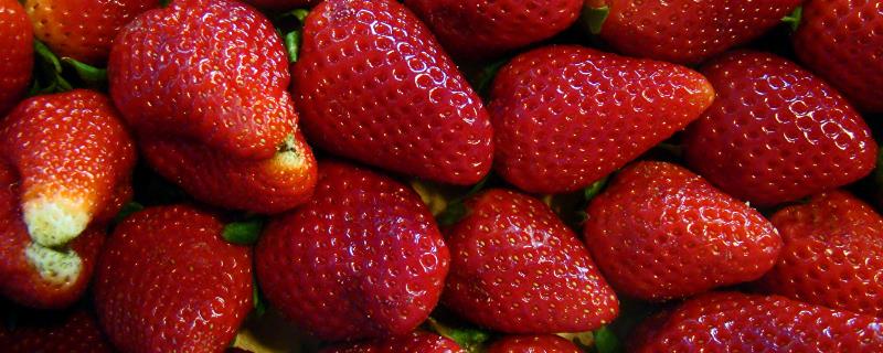 几月份能吃到草莓，5-9月份均有市场供应
