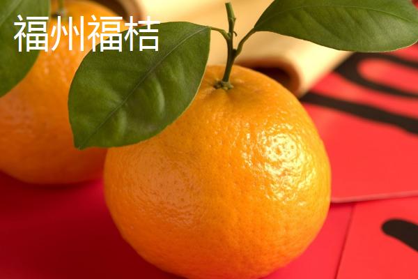 福建福州的特产，茉莉花茶的发源地