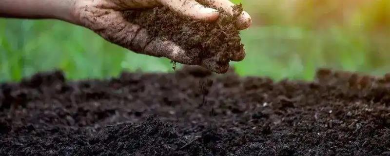 土壤调理剂的作用，可改善土质、分解残留的肥料和农药