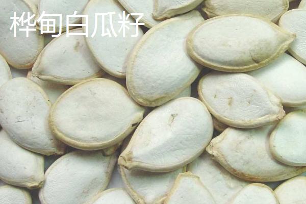 吉林桦甸市的特产，桦甸白瓜籽独具风味