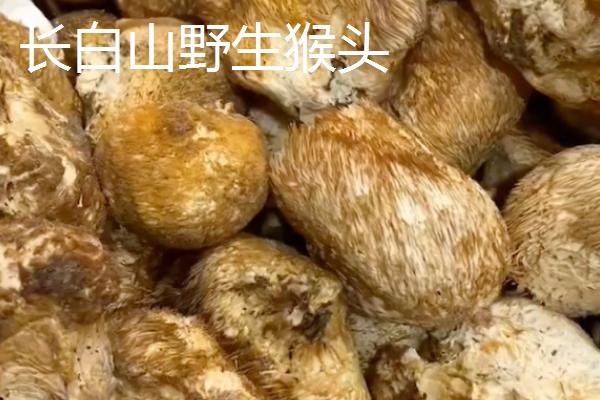 吉林桦甸市的特产，桦甸白瓜籽独具风味