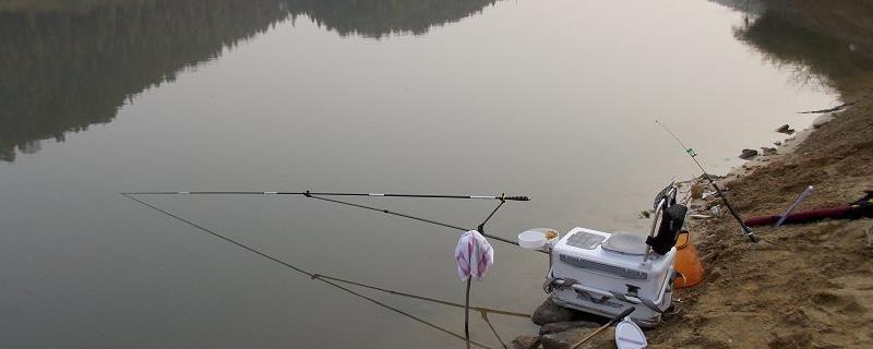 传统钓竿多长的最实用，根据水域而定