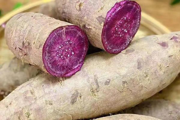 紫薯怎么种植，种薯要经过消毒才能播种
