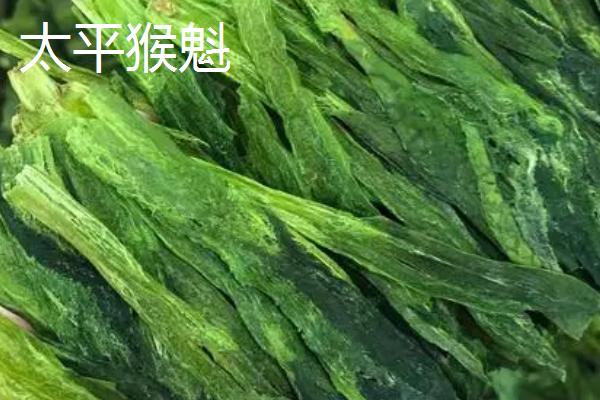 安徽省怀远县的特产，怀远石榴在中外广受好评