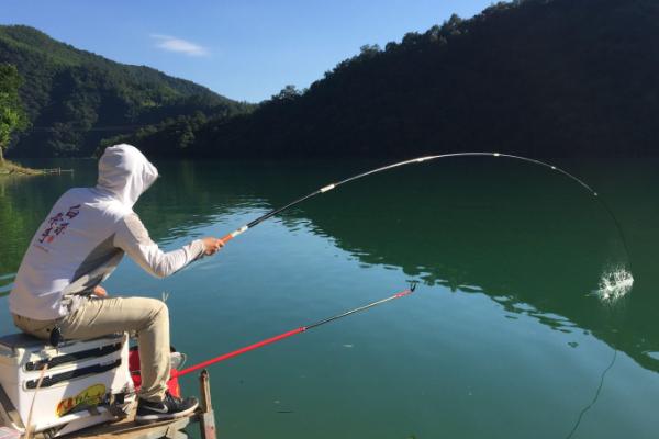 初夏钓鱼技巧，出钓最好早一点