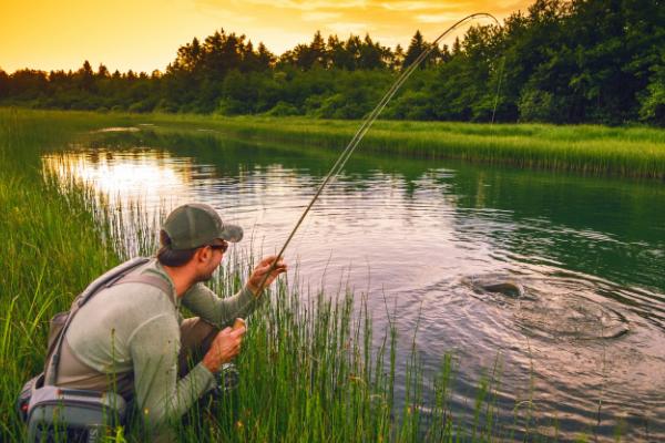 夏天高温怎么钓鱼，建议选择早上、傍晚和晚上作钓