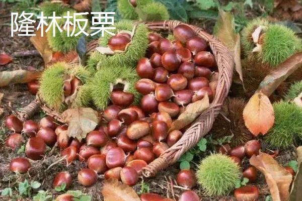 广西隆林各族自治县的特产，辣椒骨是隆林各族的传统食品