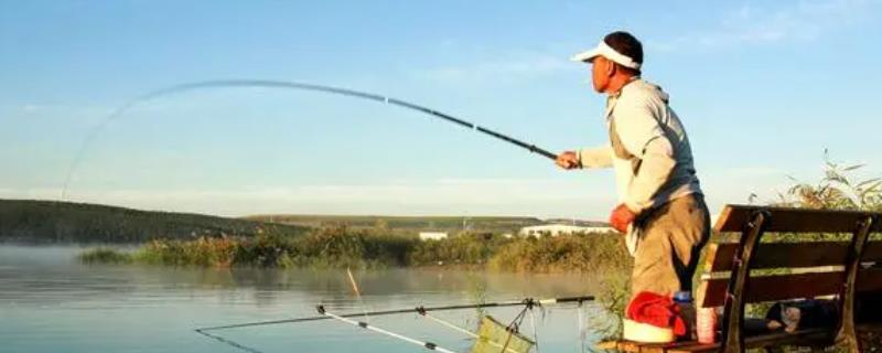 鲮鱼的钓法，可采用跑铅钓、竖铅钓等方式