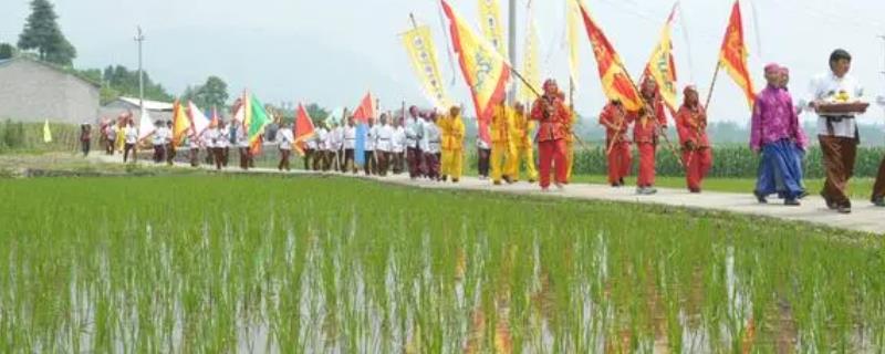 芒种的习俗活动，包括祭祀、打泥巴仗、举行安苗仪式