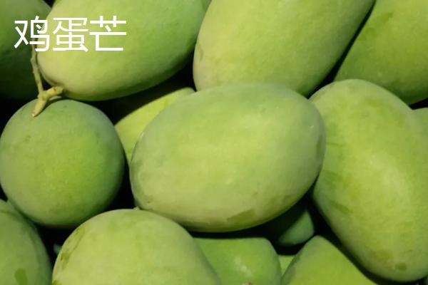 芒果主要种植区分布在哪里，主要分布在海南、广东、云南、台湾等省份
