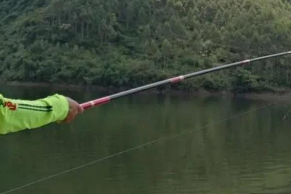 水库钓鲴鱼的技巧，首选回水湾和野果树下作为钓点