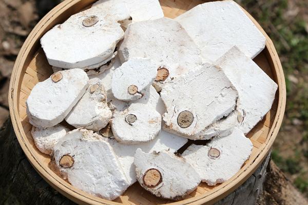 茯苓的产地，主产于安徽、云南和湖北等地