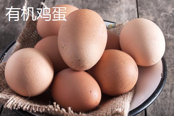 有机鸡蛋与普通鸡蛋有什么区别，有机鸡蛋的蛋黄颜色更深