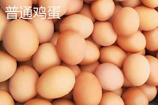 有机鸡蛋与普通鸡蛋有什么区别，有机鸡蛋的蛋黄颜色更深