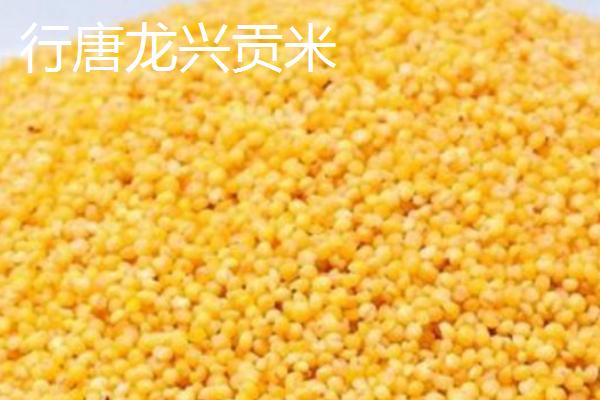 河北行唐县的特产，行唐红枣种植历史悠久