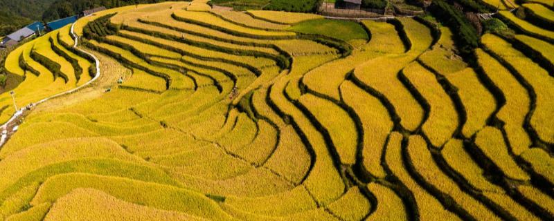 秋分属于我国什么节日，是我国的农民丰收节