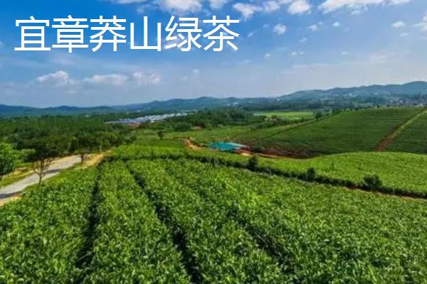 湖南省嘉禾县的特产，包括嘉禾霉豆腐、嘉禾角粽等种类