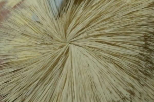 空心面的制做方法，需按照步骤循序渐进