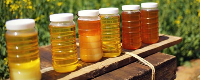 油菜花蜂蜜属于哪种蜜，油菜花为二等蜜