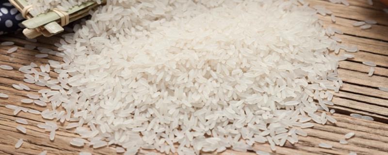 大米是怎么种出来的，需经历整地、育苗、插秧等步骤