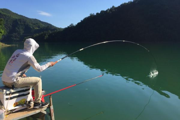 垂钓土鲮鱼的方法以及要注意什么，温度较高的天气要在早上或晚上作钓