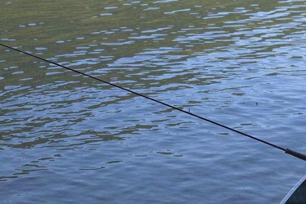 钓鱼如何看漂提竿，需根据垂钓对象做出判断