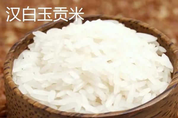 安徽省五河县的特产，汉白玉贡米颇受消费者喜爱